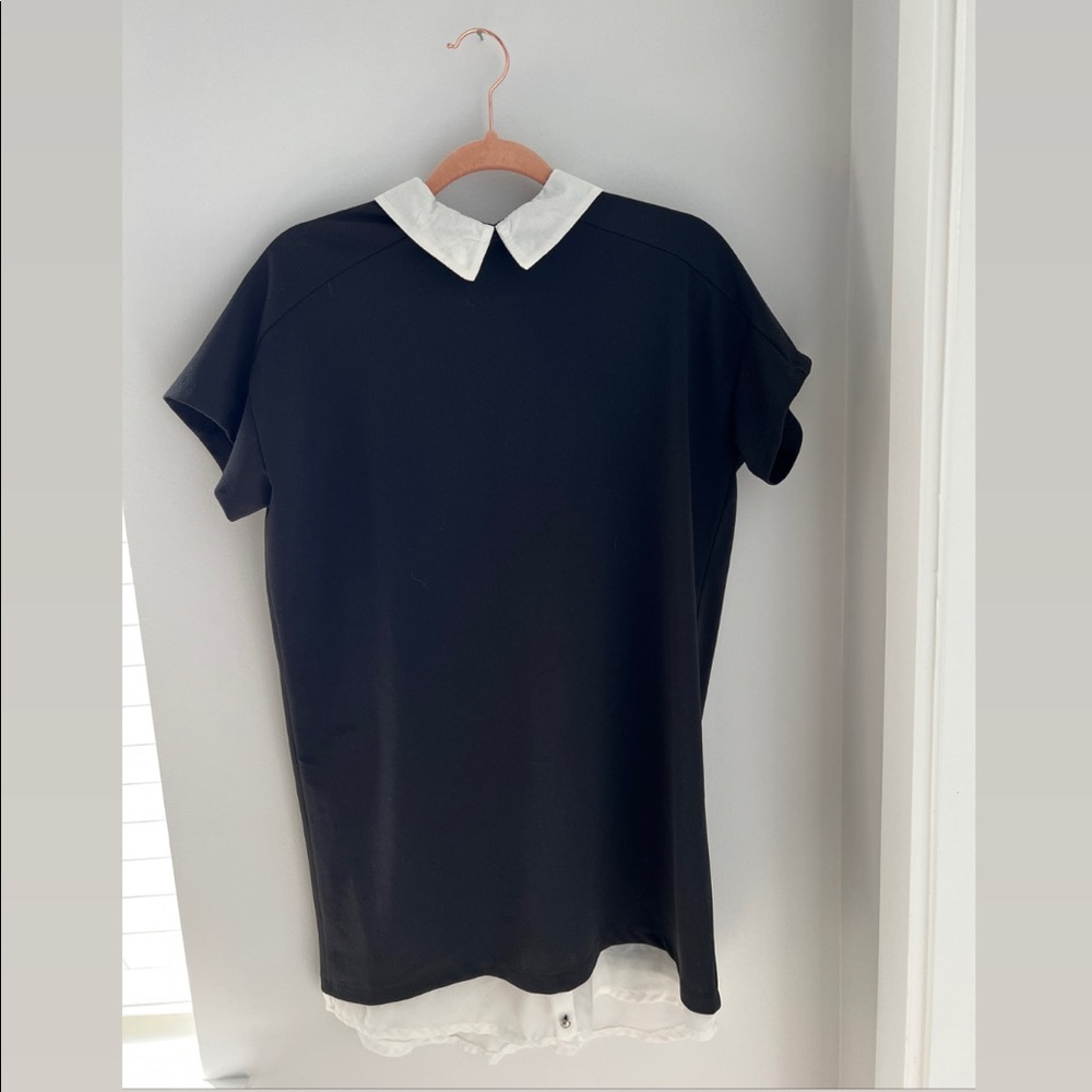 Isobel Shirt Collar Tailored Dress